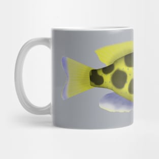 venustus hap Mug